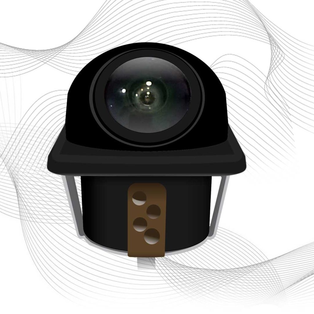 camera-tartaruga-quadrada